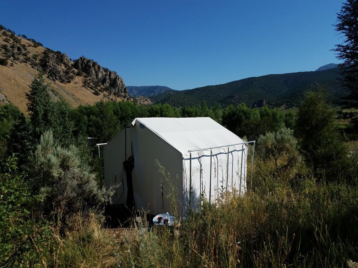 Bristol Cabins Lava Hot Springs Exterior photo
